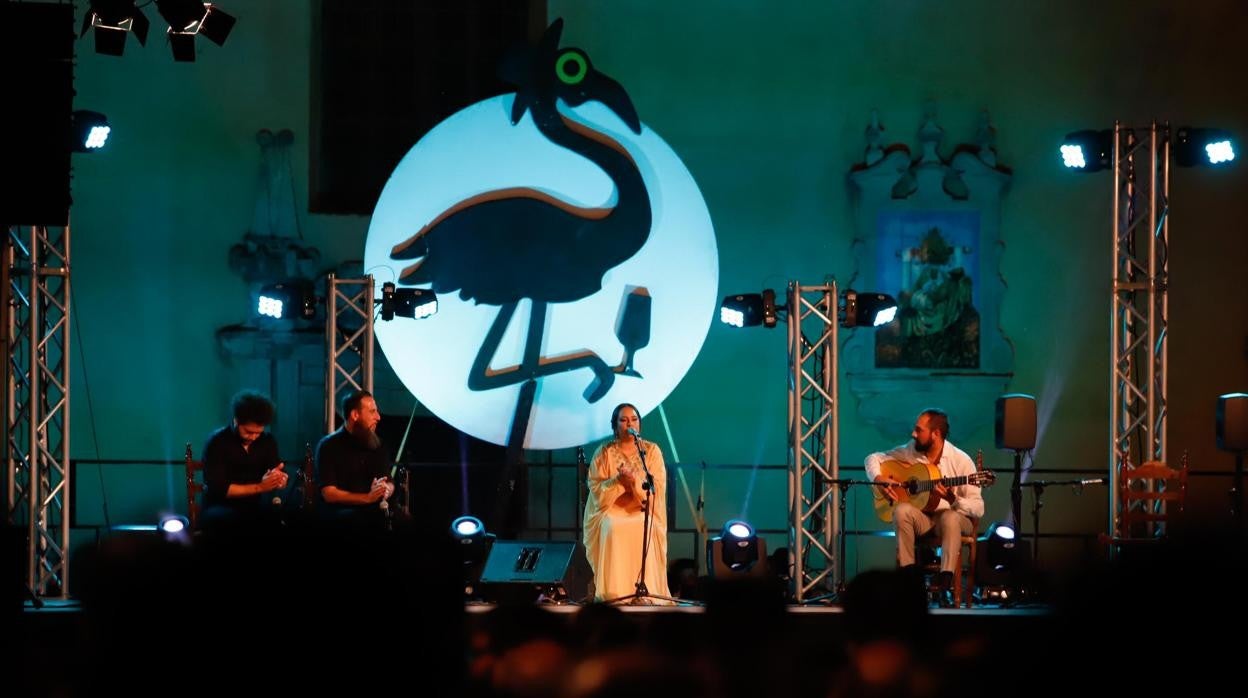 Un espectáculo de la Noche Blanca del Flamenco