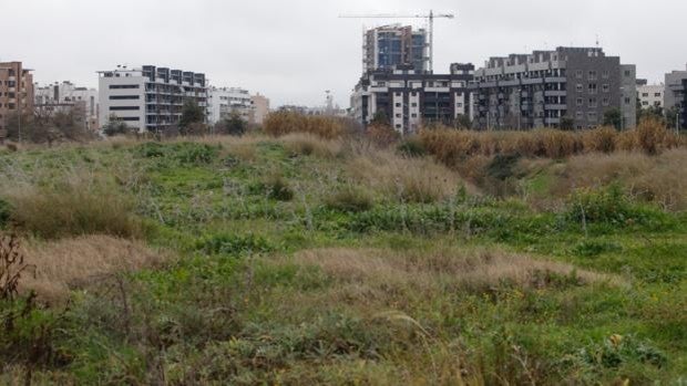 Urbanismo saca a concurso la redacción de la segunda fase del parque de la Arruzafilla, de Córdoba