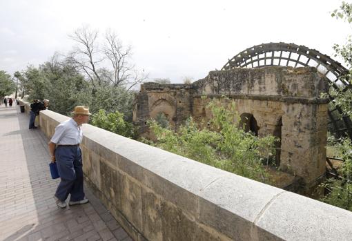 Córdoba contará con 57 nuevos kilómetros de senderos en la ciudad en los próximos años