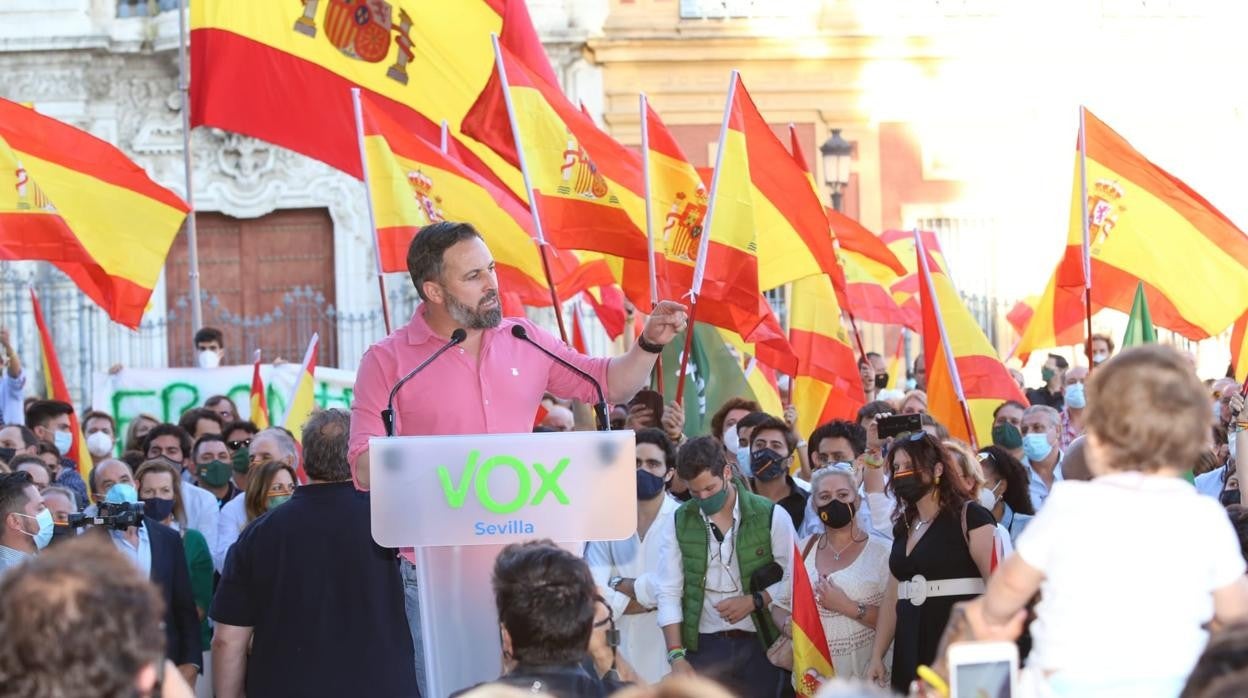 Santiago Abascal, presidente de Vox, este domingo en el mitin que ha protagonizado frente al Palacio de San Telmo