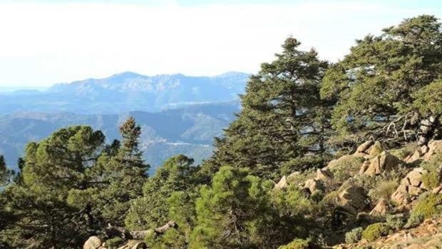 La Sierra de las Nieves da otro paso fundamental para ser Parque Nacional