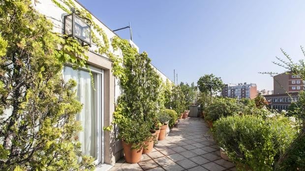 Urbanismo facilitará la construcción de áticos en Córdoba con su nueva guía de licencias