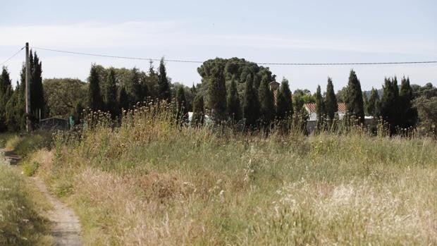 Medio Ambiente certificó en Córdoba que la obra de Isabel Ambrosio invadió una vía pecuaria