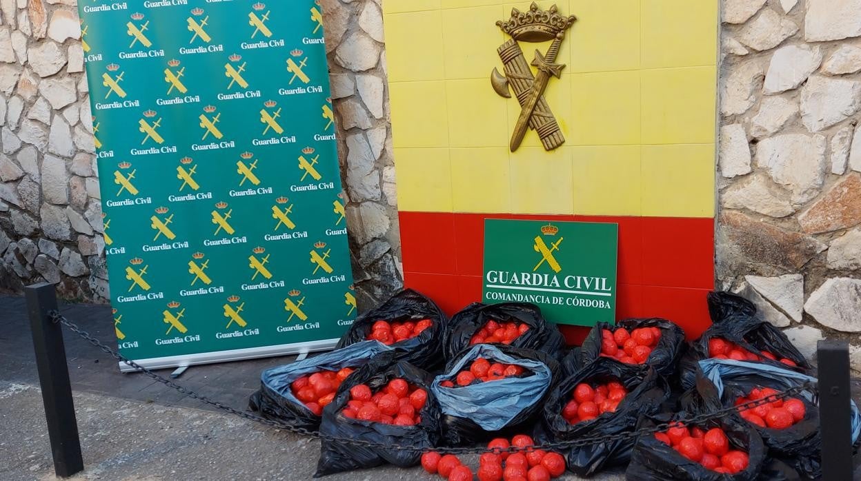 La droga en las instalaciones de la Guardia Civil