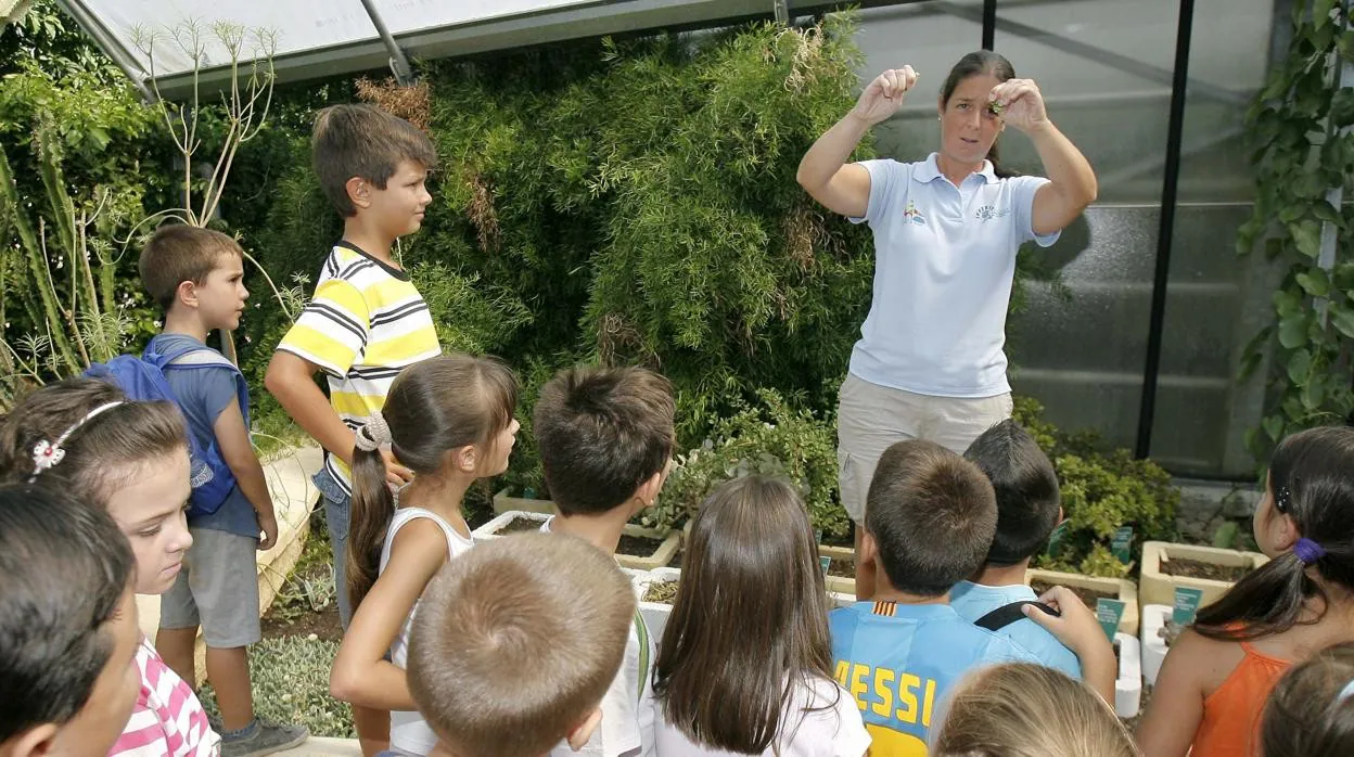 Actividades para niños en el verano organizadas por el Ayuntamiento, en una imagen de archivo