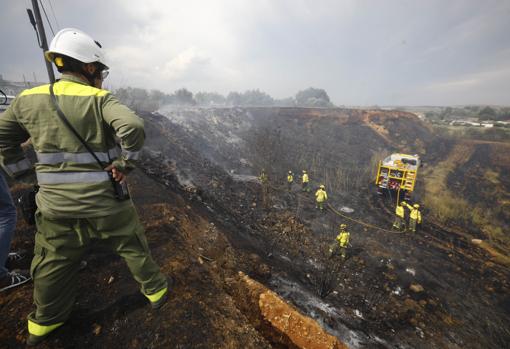 Bomberos del Infoca en una intervención en julio del año pasado en Córdoba