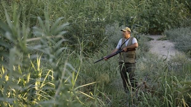 Orden de vedas Andalucía 2021/2022 | La caza del conejo comenzará en Córdoba el 15 de agosto