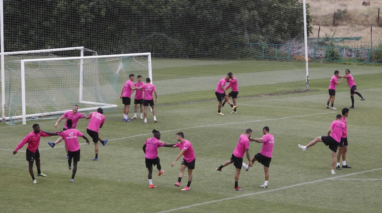 Los jugadores del Córdoba hacen ejercicios en grupo en el último entrenamiento el jueves 24 de mayo