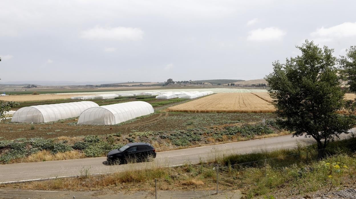 Terrenos de La Rinconada donde se ubicarán las instalaciones castrenses