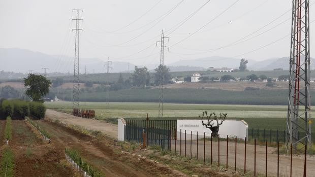 Base Logística de Córdoba | Defensa retoca el protocolo ya aprobado por el Ayuntamiento