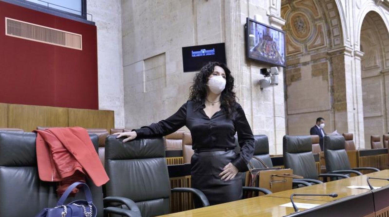 La consejera Rocío Ruiz, en el Parlamento andaluz