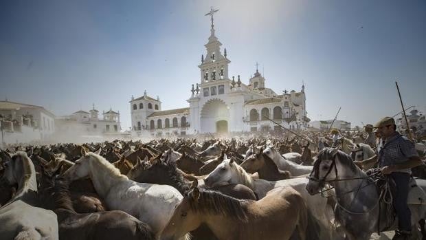 Suspendida la Saca de las Yeguas por segundo año consecutivo y estudian hacerla en septiembre