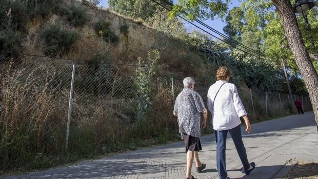 Un cementerio tartésico en la Joya de Huelva,  amenazado por el ladrillo