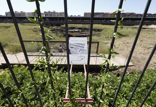 Arqueobasura | Cerdos y una vieira en la Córdoba del siglo XII, el hogar de los últimos mozárabes