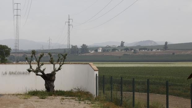 Urbanismo calcula que las conexiones de la Base Logística de Córdoba tardarán 24 meses en realizarse