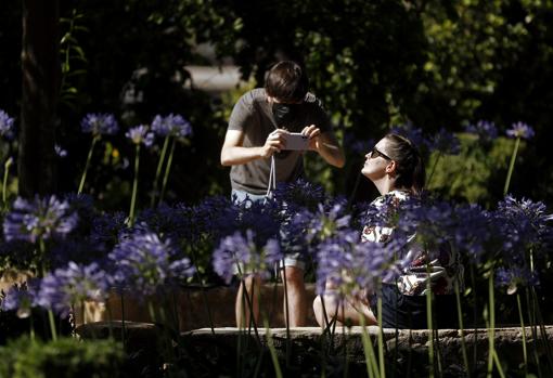 Una mujer posa para una foto en los jardines del Alcázar