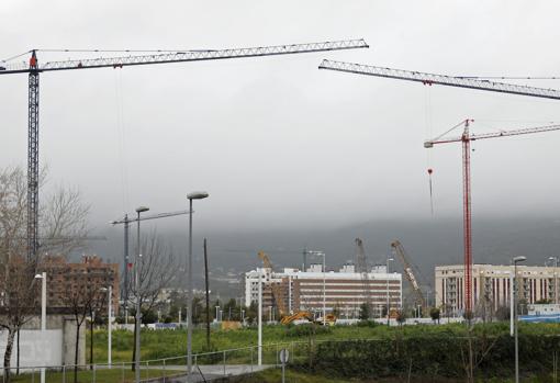 Bosque de grúas en Poniente, el área por la que está creciendo la ciudad