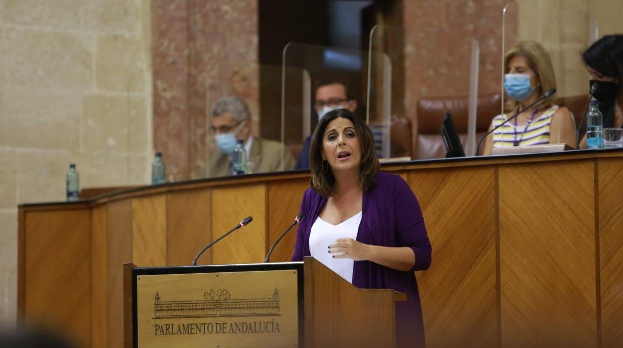 La portavoz del PSOE en el Parlamento, Ángeles Férriz desde la tribuna de oradores