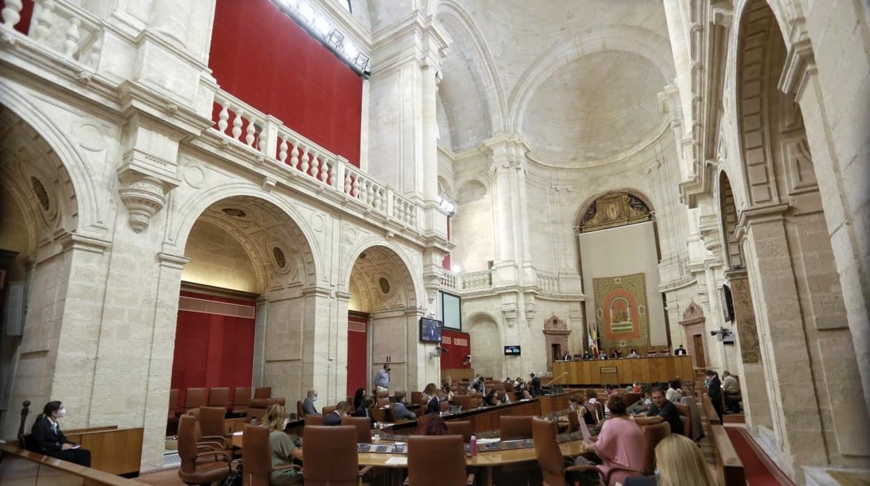 Los miembros del Parlamento andaluz, en la mañana de este jueves