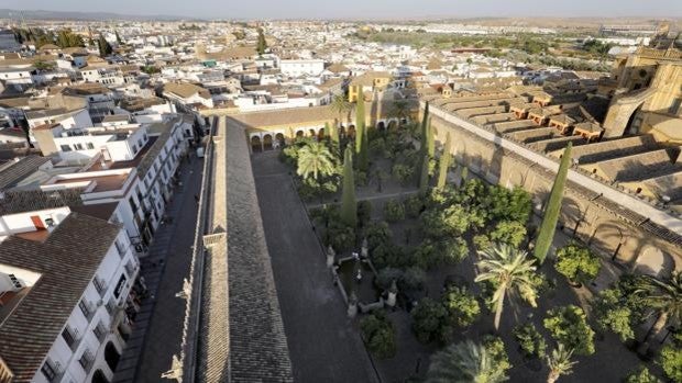 Festival Flora 2021 | El Patio de los Naranjos de Córdoba, nueva sede para las creaciones florales