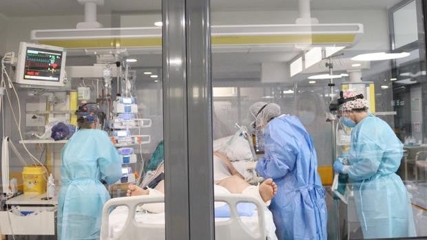 Quinta ola Covid | ¿Cuál es la situación ahora mismo en el Hospital Reina Sofía de Córdoba?