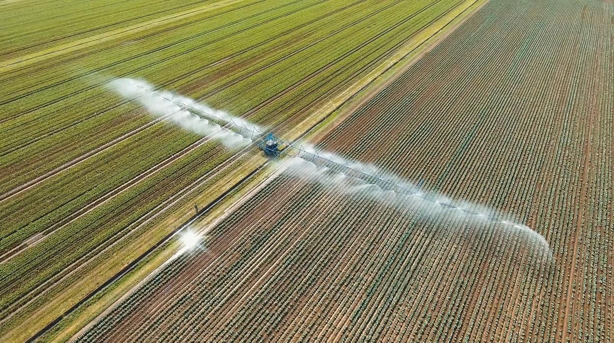 Explotación agrícola de regadío