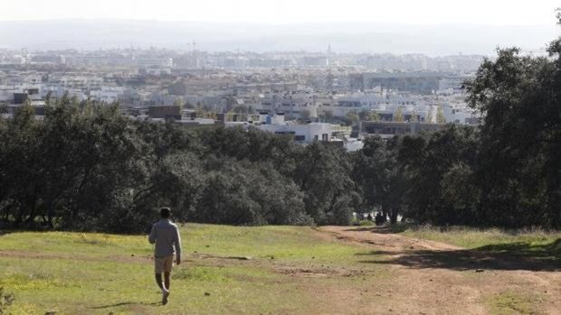 Las obras de reforma del parque del Patriarca en Córdoba comenzarán en septiembre