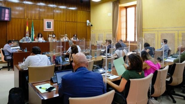 La Junta de Andalucía saca adelante su primera fusión de la 'administración paralela' con Podemos y sin Vox