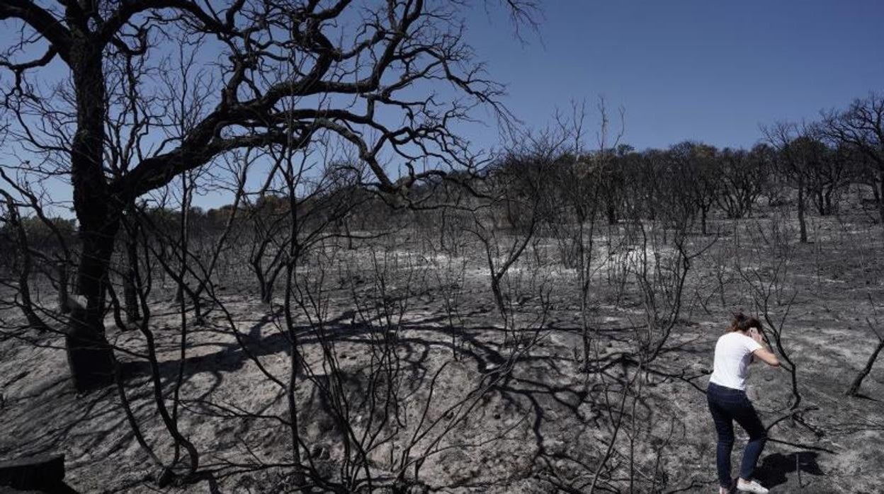 El incendio de Alcaracejos