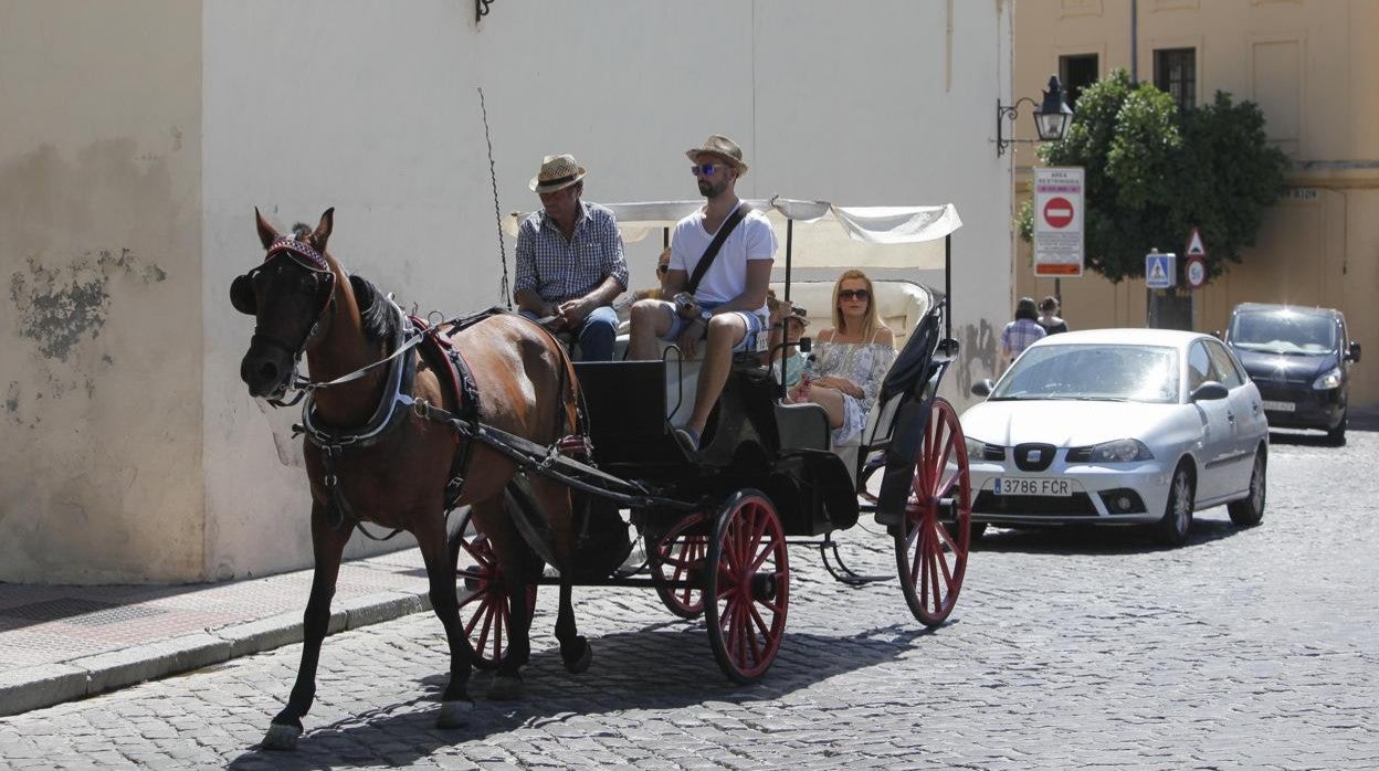 Coche de caballos en Camposanto de los Mártires en Córdoba