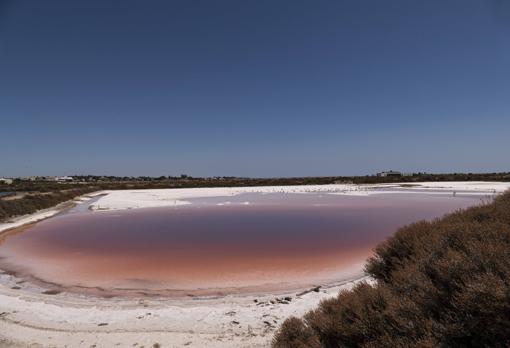 Imagen del estero con sal que torna a rosa por los rayos del sol