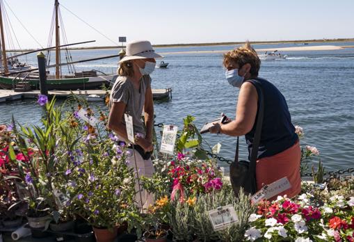 Floristería del mercado de Olhao con vistas al mar