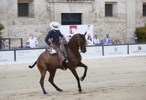 Un jinete ejecuta un ejercicio durante la edición de 2020 de Cabalcor