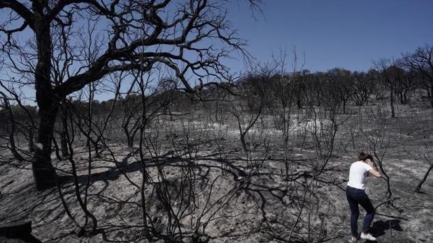 Vecinos y propietarios de Alcaracejos (Córdoba) afectados por el incendio de agosto crean una plataforma