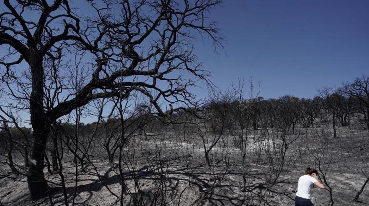 Uno de los parajes arrasados por el fuego