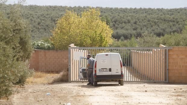 Un perro mata a un niño en Lucena | Investigan si el dueño del pastor belga alertó de su peligro