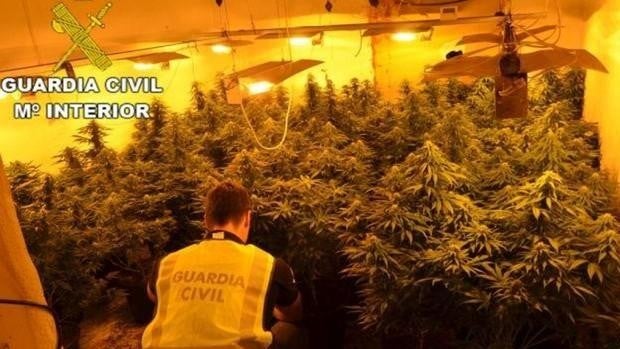 El apuñalamiento a un hombre en Roquetas se salda con tres arrestos y un cultivo de marihuana intervenido