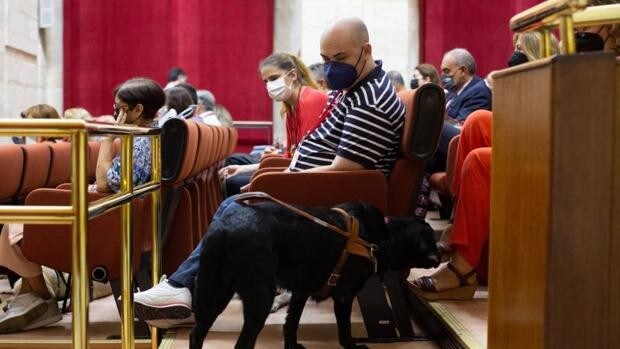 Acuerdo entre todos los grupos políticos andaluces para legislar sobre los perros de asistencia a discapacitados