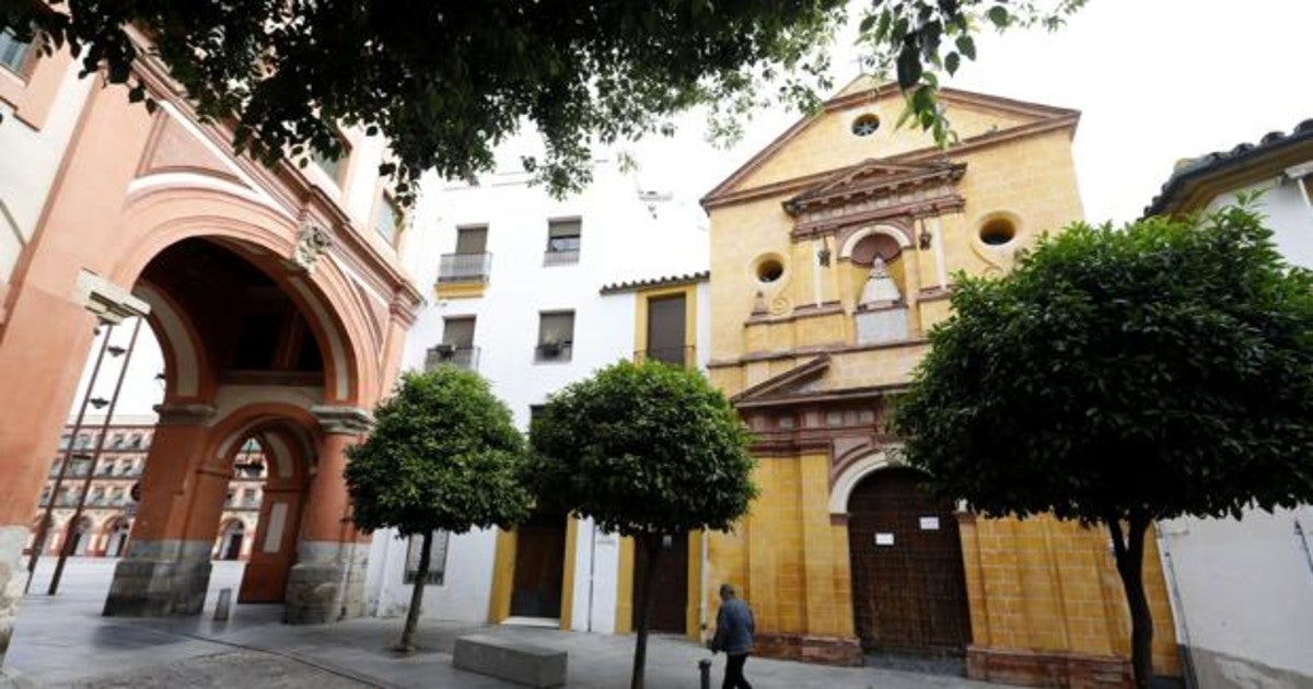 Hojas del almez (parte superior) en el Arco Bajo de la plaza de la Corredera, junto a la ermita del Socorro