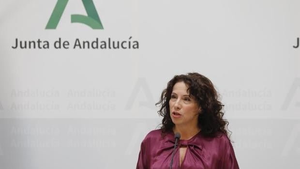 La Junta adoctrinará a los varones andaluces para fomentar las «masculinidades en positivo»