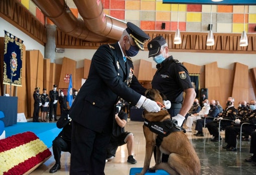 El comisario provincial de Málaga poniendo la medalla a Coco, el agente canino condecorado