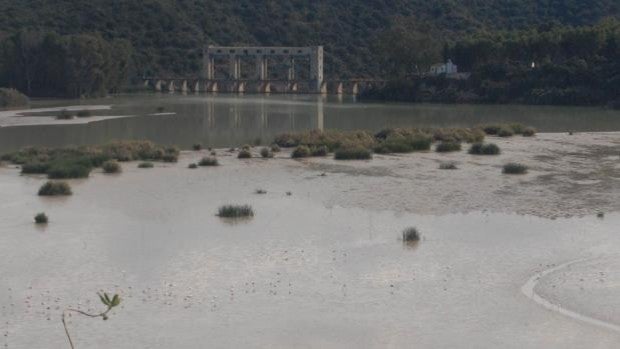 El embalse del Cordobilla acumula ya una década sin ejecutar los trabajos para la retirada de lodos