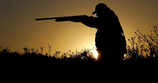 Un cazador en una finca de Moriles