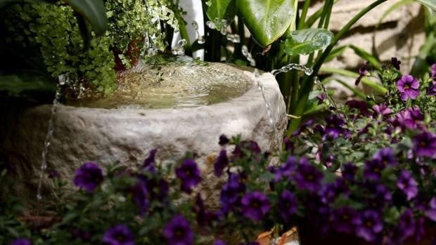 Dónde comer bien en Córdoba cerca de los patios del Festival Flora 2021