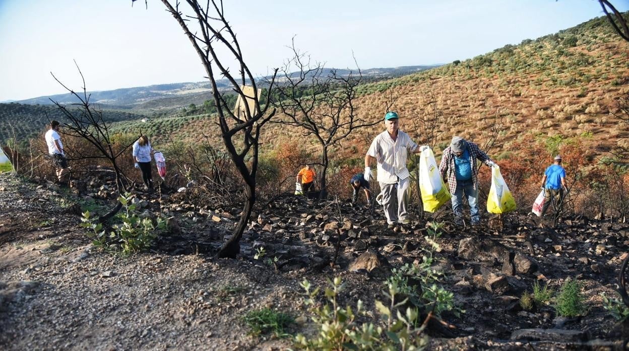 Trabajos de recogida de basura en el entorno del Calatraveño