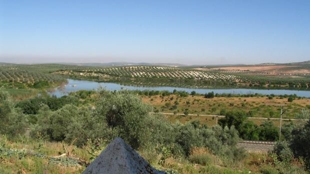 La Junta licita la gestión del centro de visitantes de la laguna de Zóñar en Aguilar de la Frontera