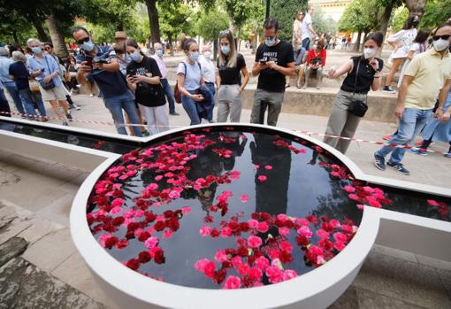 Festival Flora Córdoba 2021 | ¿Qué significado tienen las instalaciones de arte floral participantes?