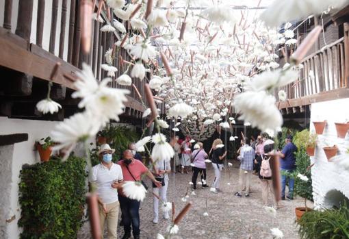 Festival Flora Córdoba 2021 | ¿Qué significado tienen las instalaciones de arte floral participantes?