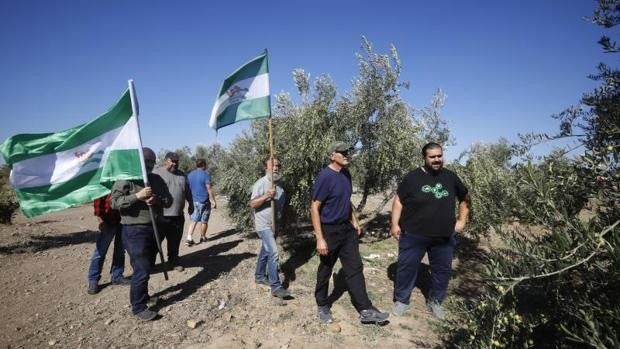 Jornaleros del SAT emplean una artimaña para volver a ocupar Somontes en Palma del Río