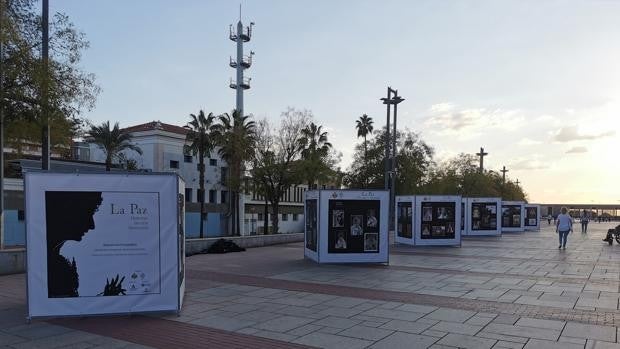 La devoción a la Virgen de la Paz de Córdoba, un relato en imágenes en el Vial Norte